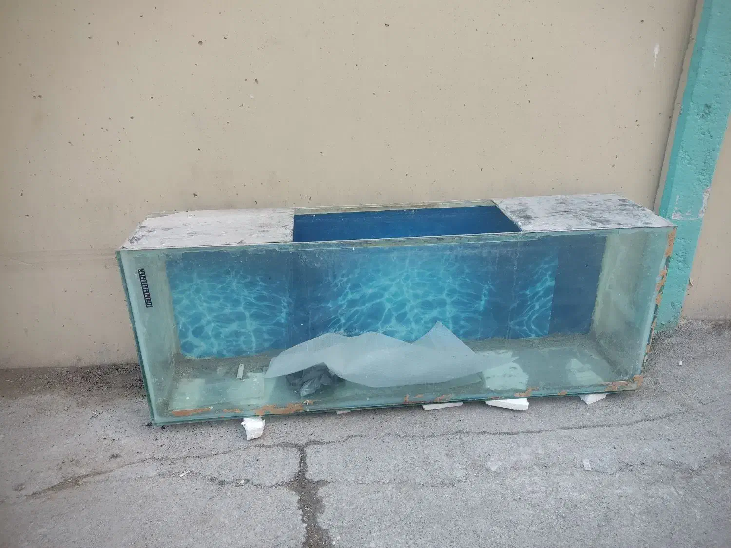 آکواریوم|ماهی|شهرکرد, |دیوار