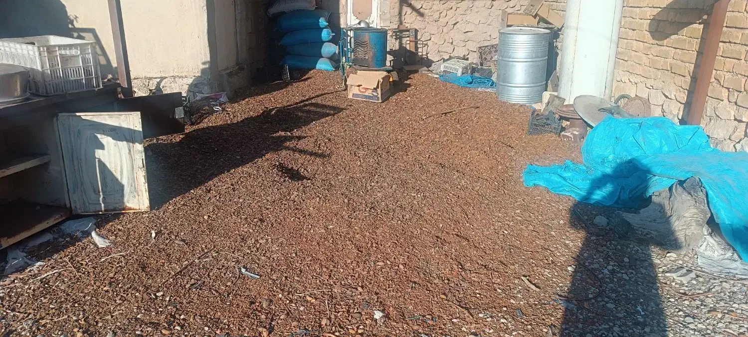 پوست بادام خشک شده|لوازم جانبی حیوانات|نورآباد ممسنی, |دیوار