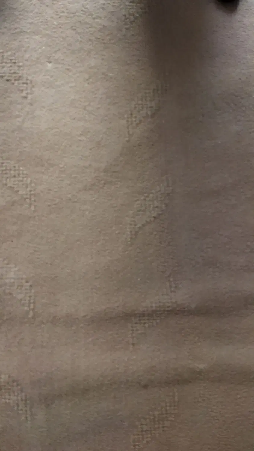 موکت به اندازه170 در2/5|موکت|زنجان, |دیوار