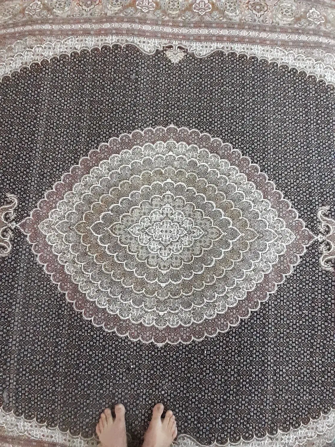 فرش دستباف|فرش|فیرورق, |دیوار