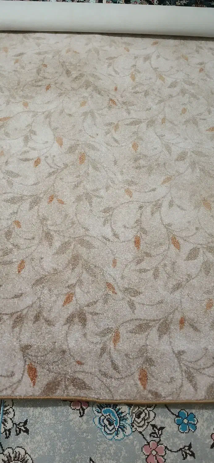 پلازموکت وفرش|فرش|جوانرود, |دیوار