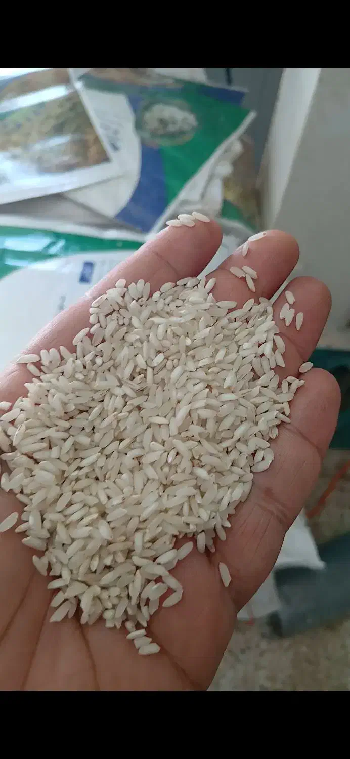 برنج عنبربو در جه یک منطقه خوزستان|عمدهفروشی|کرخه, |دیوار