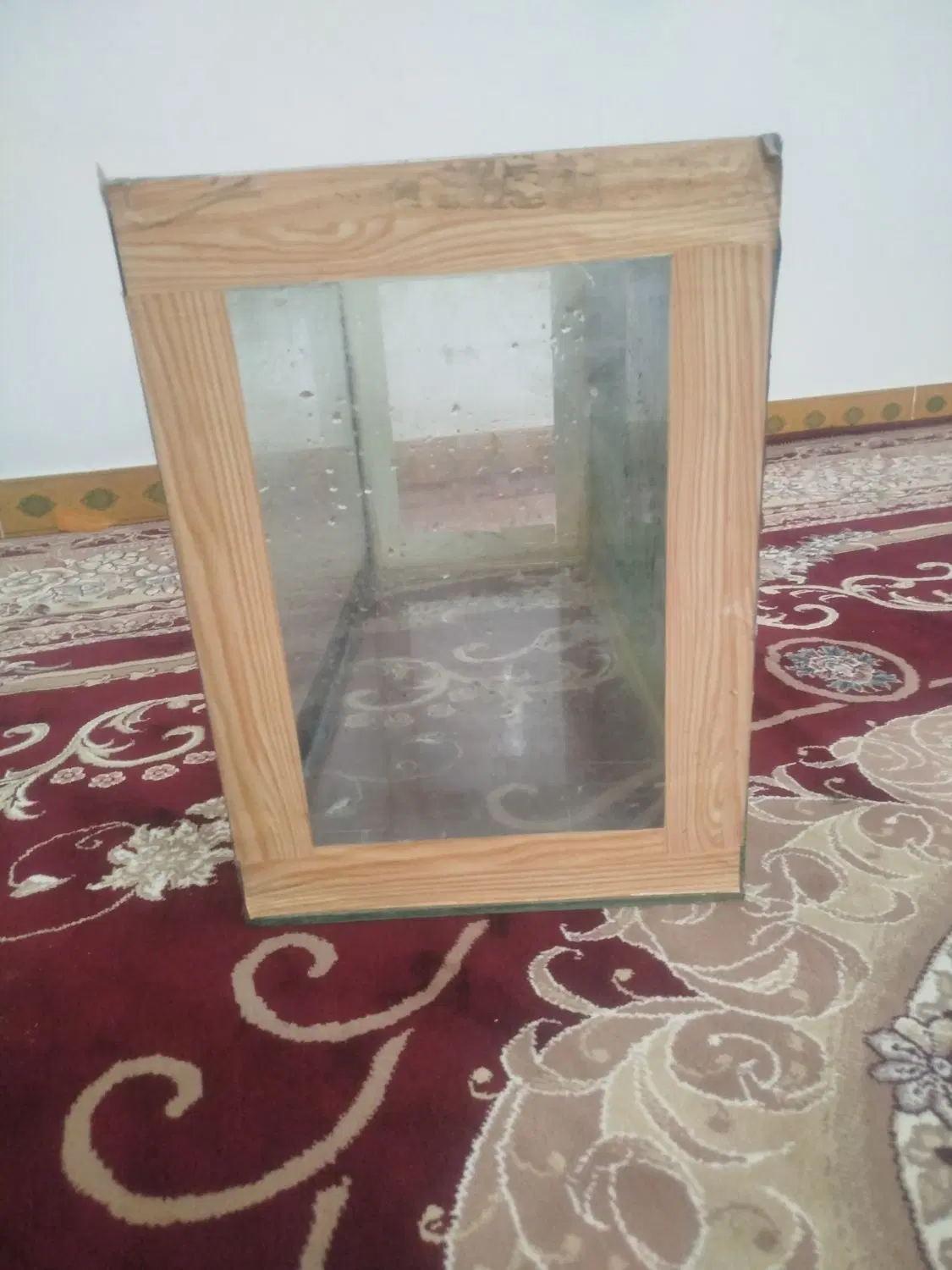آکواریوم|ماهی|کنگاور, |دیوار