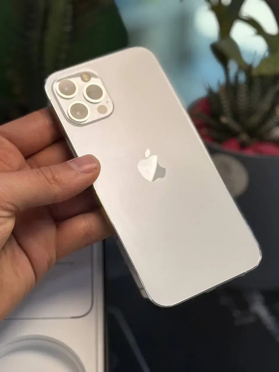 12pro iphone 256zaaپک اصلی|موبایل|کرج, گوهردشت|دیوار