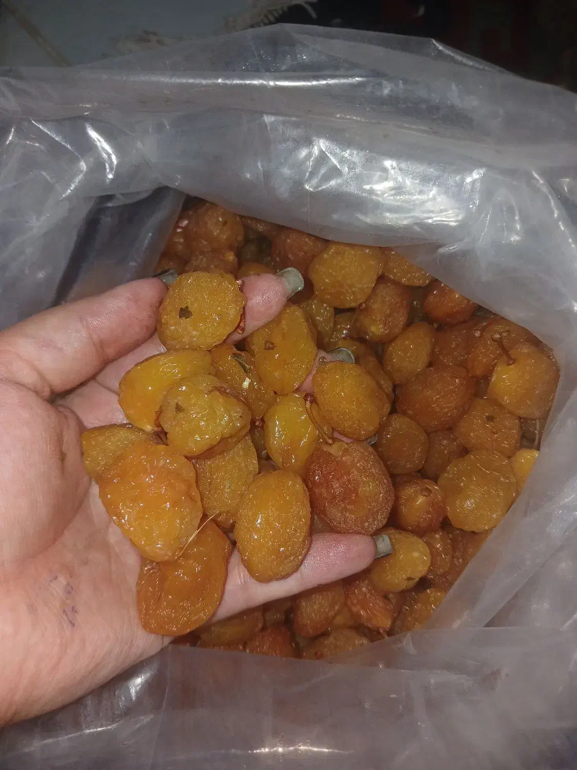 آلو بخارا بوانات|خوردنی و آشامیدنی|شیراز, دارالرحمه|دیوار
