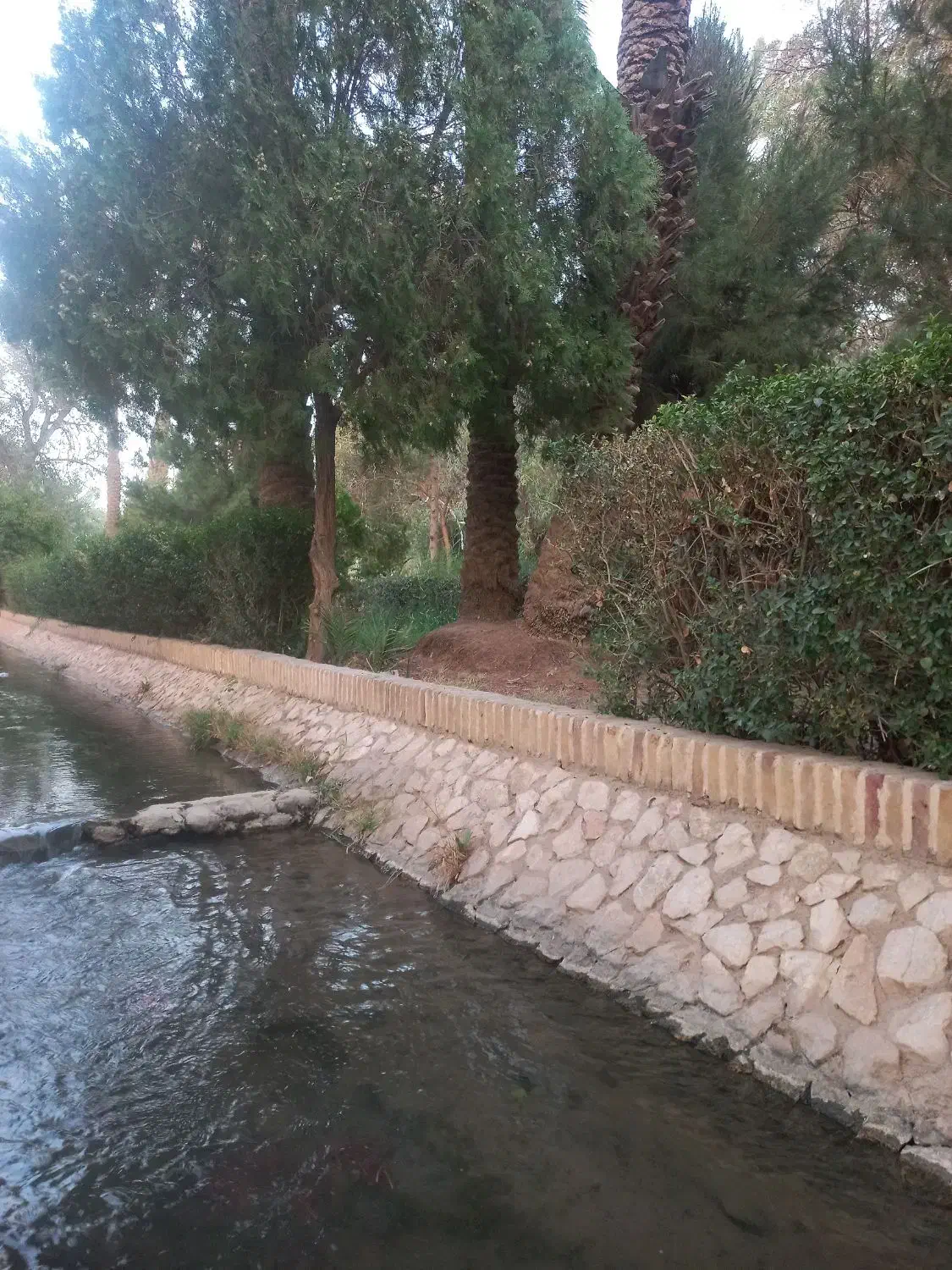 سوله|اجارهٔ دفتر صنعتی، کشاورزی، تجاری|قائن, |دیوار