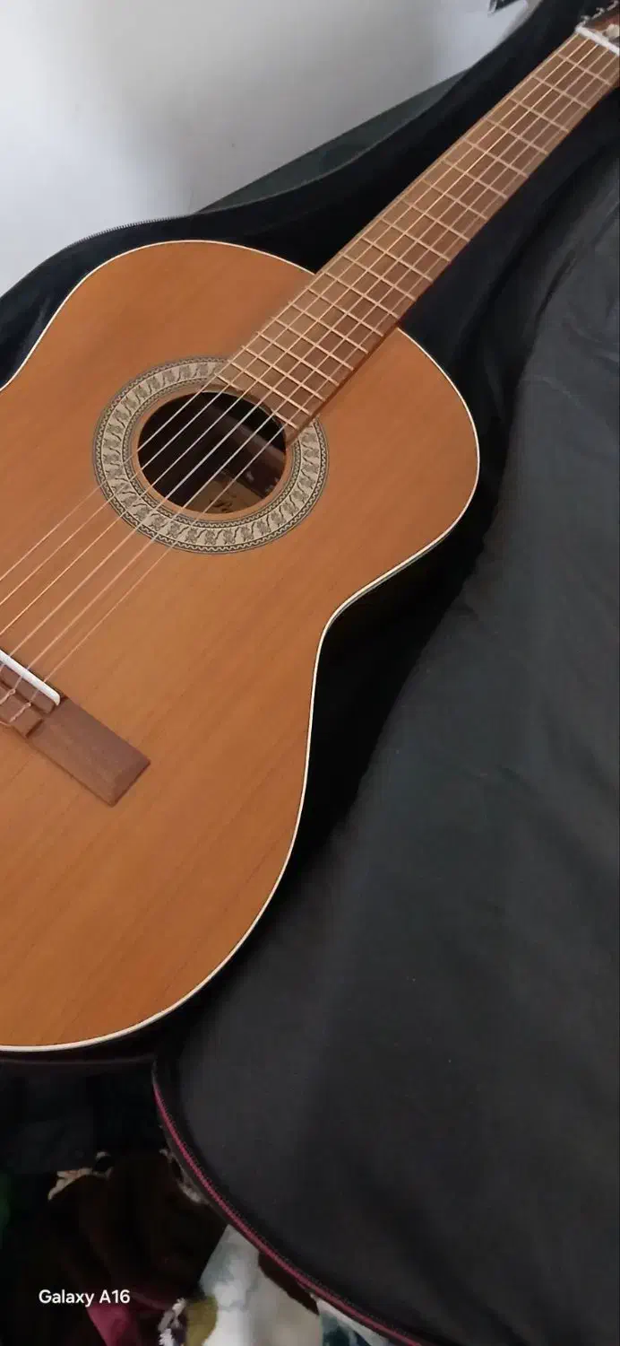 گیتار M5|گیتار، بیس، امپلیفایر|بجنورد, |دیوار