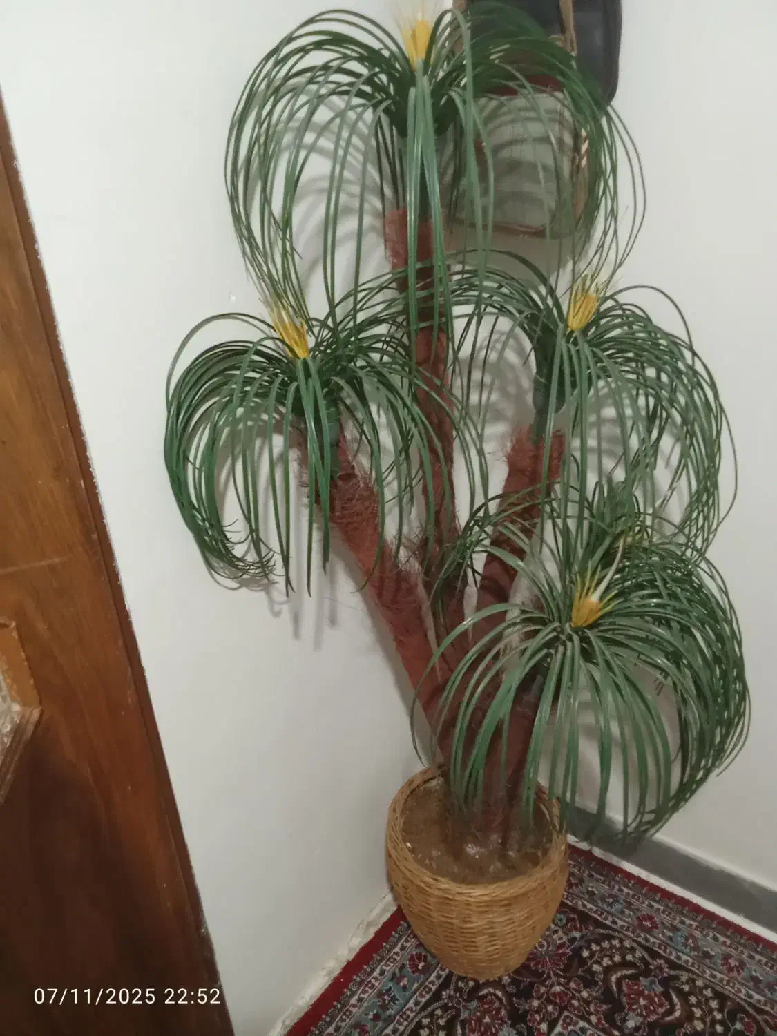 گل وگلدان|گل مصنوعی|همدان, |دیوار