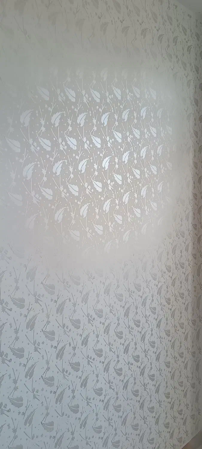 نقاشی ساختمان طرح کاغذ دیواری|خدمات پیشه و مهارت|مشگین شهر, |دیوار