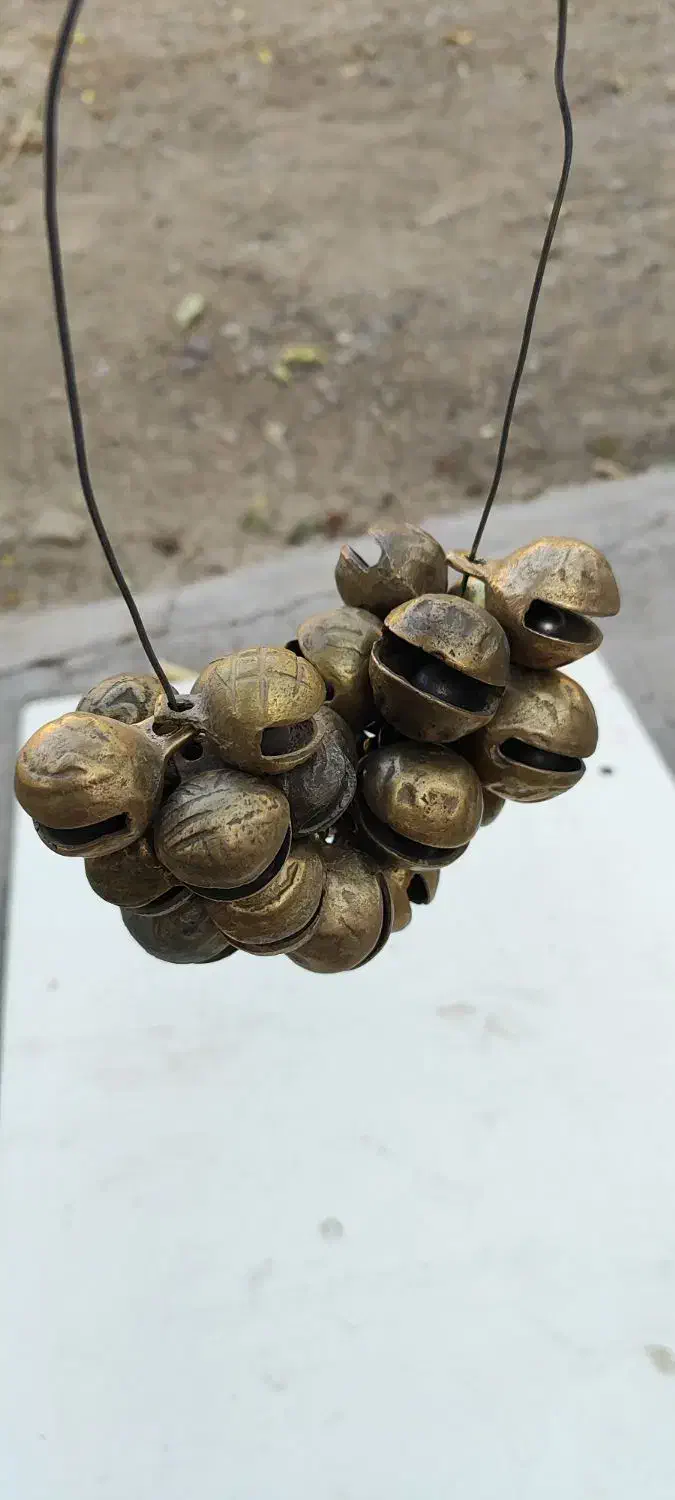 زنگلوله یا قور سگ|لوازم جانبی حیوانات|کاشمر, |دیوار