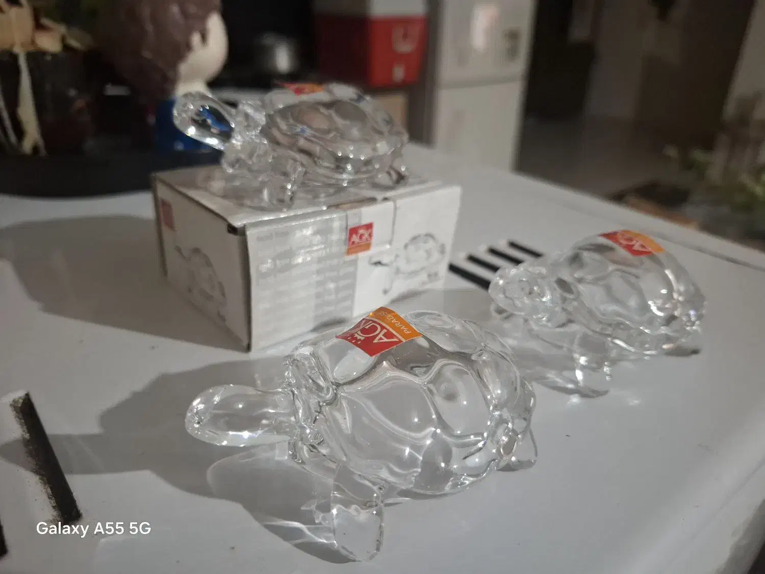 لاک‌پشت های دکوری کوچک و کیوت و ...|مجسمه، تندیس، ماکت|بندر انزلی, معلم|دیوار