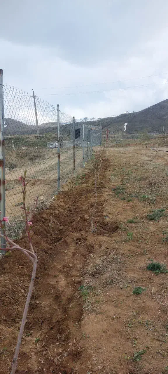 زمین واقع در دره غول روستای نور اباد|فروش زمین و ملک کلنگی|بهار, |دیوار