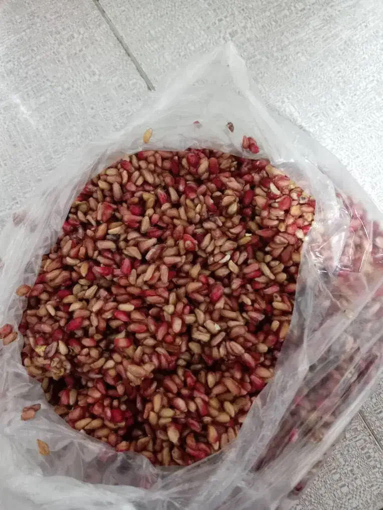فروش ناردونه ترش|خوردنی و آشامیدنی|شیراز, شهرک فرزانگان|دیوار