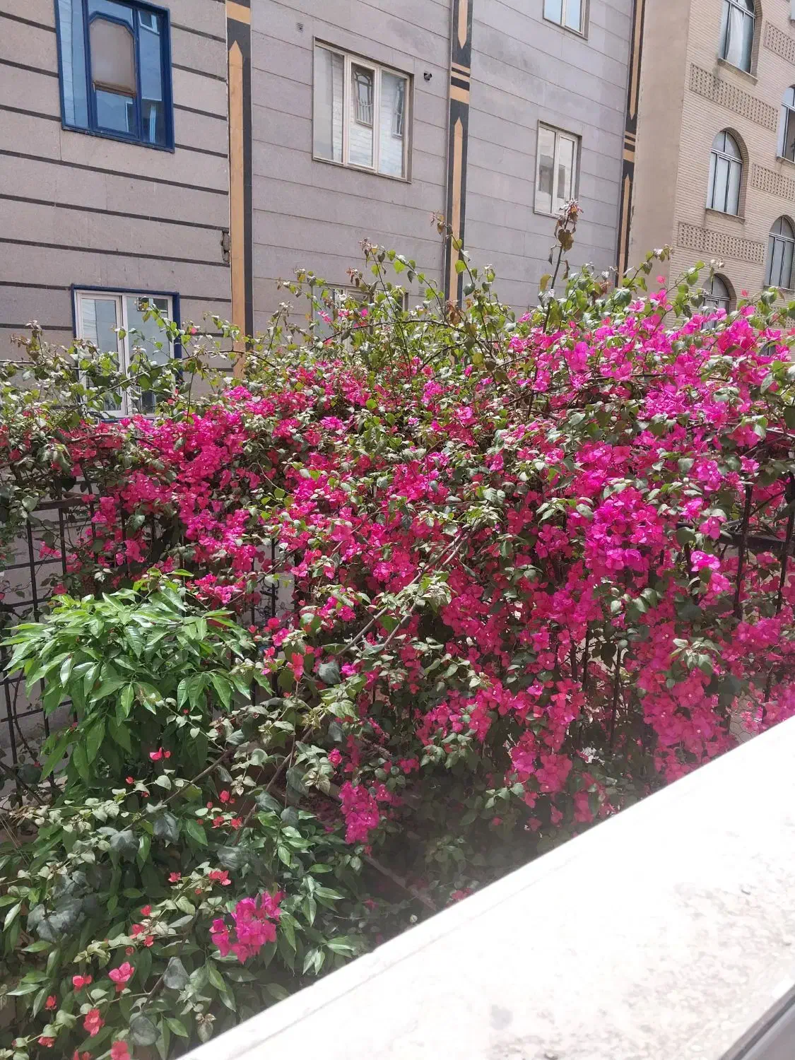 آپارتمان ۹۰متر دو خواب ایروانی خطیب