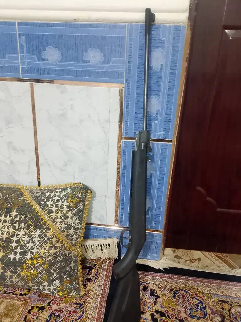 کبوتر|کوهنوردی و کمپینگ|زهک, |دیوار