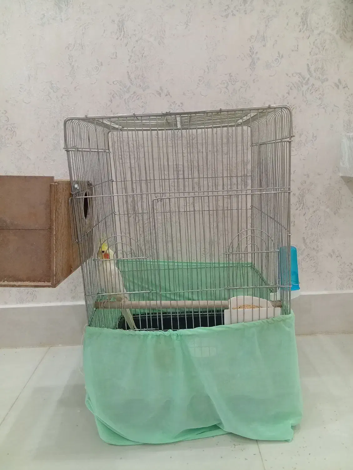 قفس پرنده|لوازم جانبی حیوانات|سبزوار, کلاته سیفر|دیوار