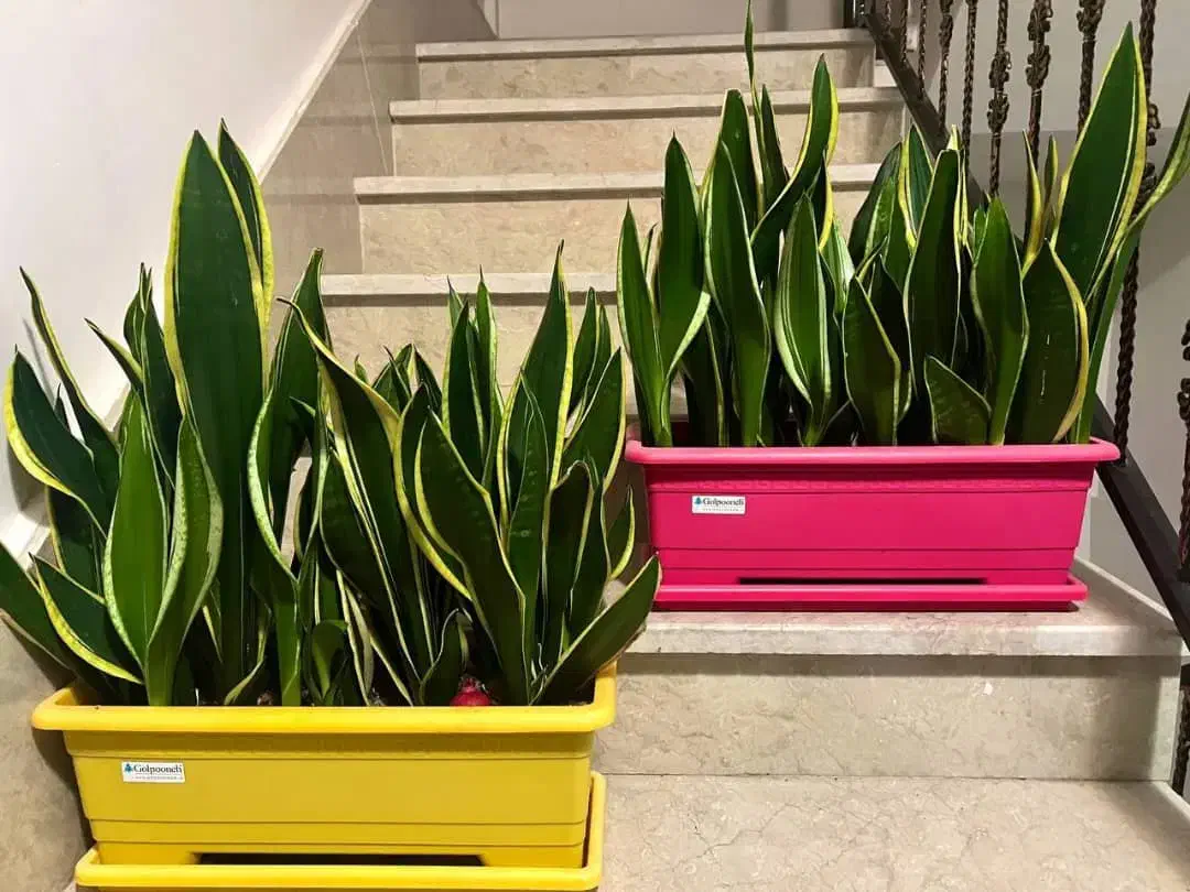 فروش سینما خانواده سالم و تمیز|سیستم صوتی خانگی|محلات, |دیوار