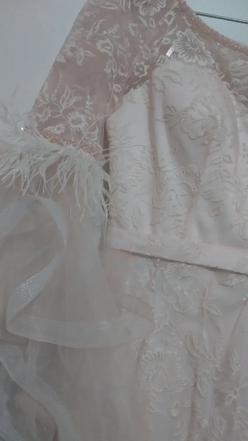 لباس مجلسی گلبهی|لباس|رباط‌کریم, نصیرشهر|دیوار