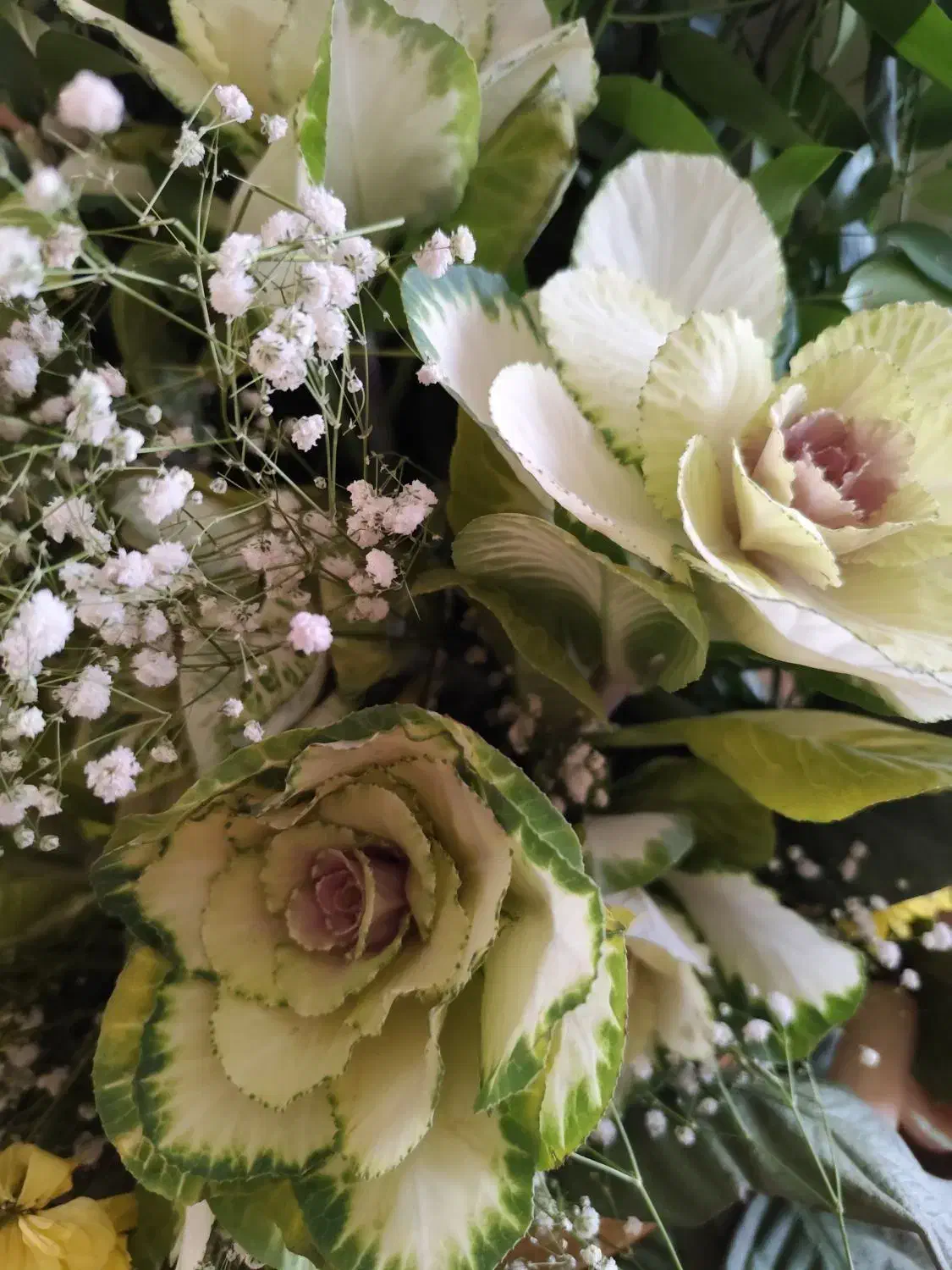 سبد گل طبیعی زیبا و شیک|گل و گیاه طبیعی|تهران, سیمای ایران|دیوار