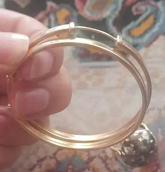 یک جفت گوشواره حلقه ای|جواهرات|فولادشهر, B5|دیوار