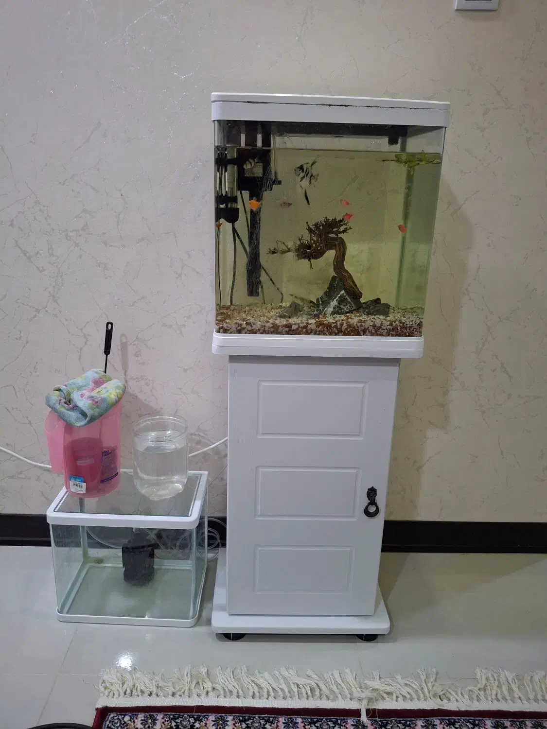 اکواریوم دلسا مدل k390 و اکواریوم کوچیک|ماهی|اهواز, کمپلو شمالی|دیوار