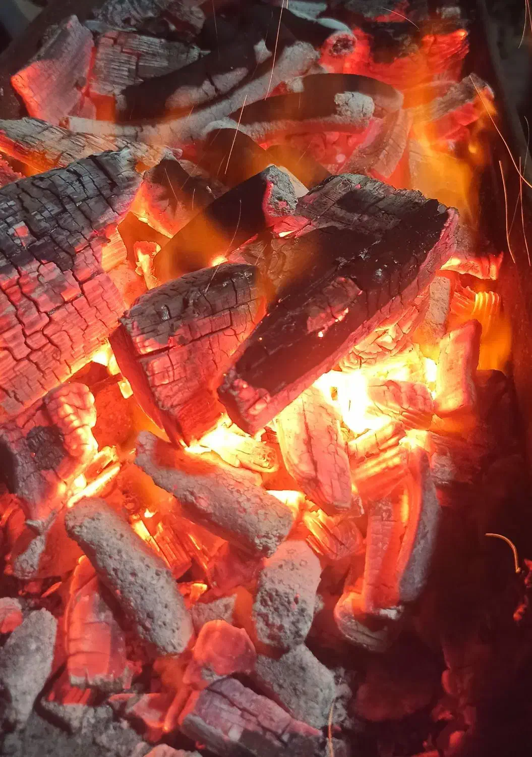 ذغال بسته بندی شده کبابی|عمدهفروشی|قم, مصلاء|دیوار