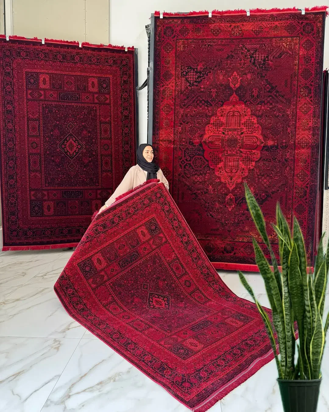 ۷۰۰شانه لاکی . تراکم۲۵۵۰ پرگل|فرش|شیراز, قلات|دیوار