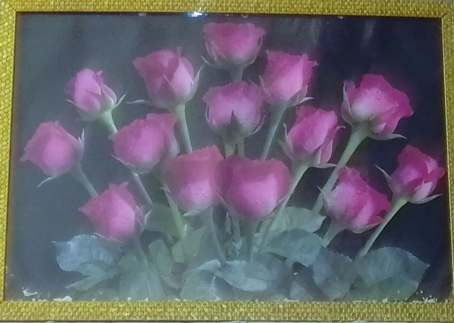 عکس دیواری|تابلو، نقاشی، عکس|شادگان, |دیوار