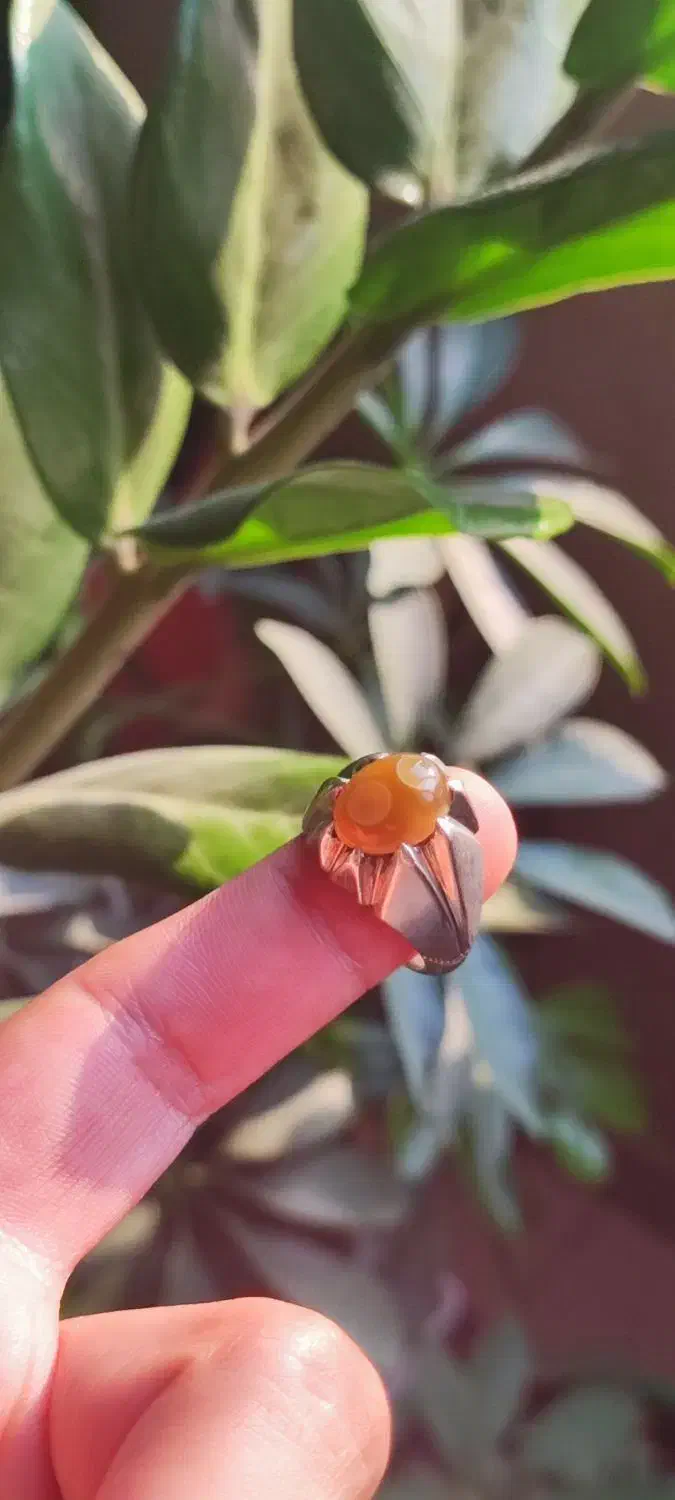 باباقوری بهزاد روستایی|جواهرات|کرمانشاه, |دیوار