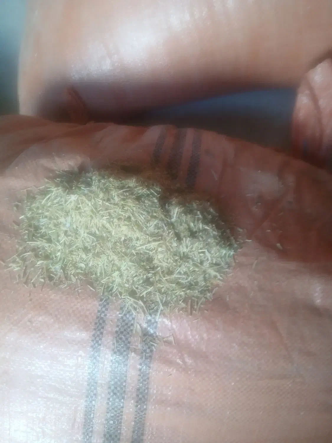 کاه عدس|عمده‌فروشی|یاسوج, |دیوار