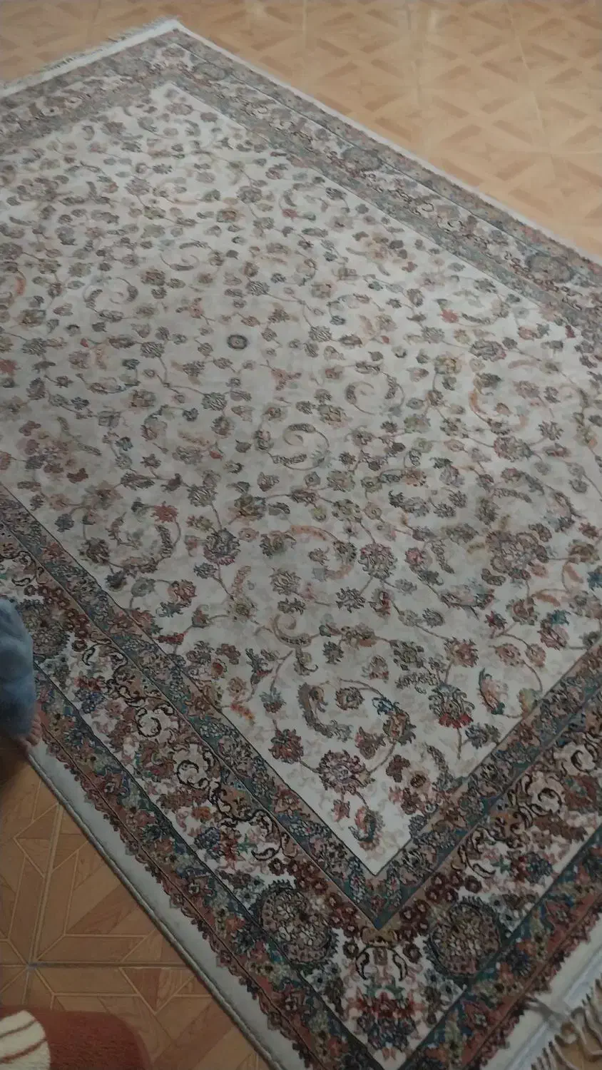 فرش ۶ متری ۷۰۰شانه|فرش|فردیس, فردیس|دیوار