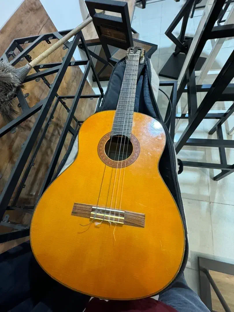 گیتار یاماها c70|گیتار، بیس، امپلیفایر|کاشمر, |دیوار