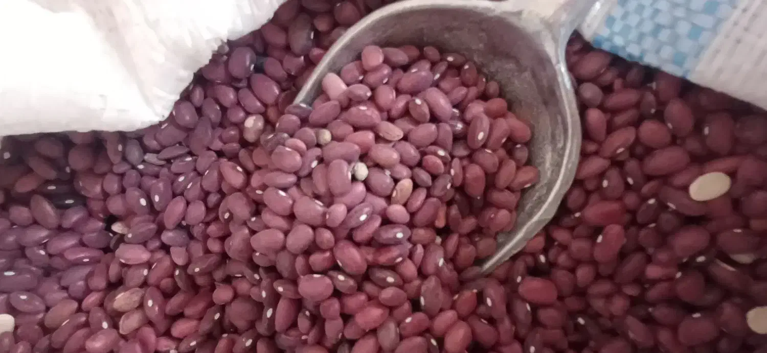 لوبیا چیتی،لوبیا قرمز،خورده برنج|خوردنی و آشامیدنی|شیراز, شهرک صادقیه|دیوار