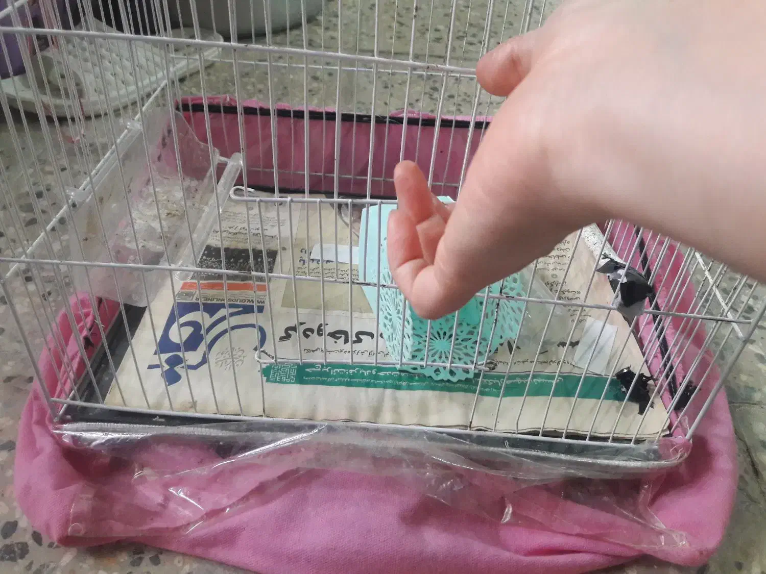 قفس|لوازم جانبی حیوانات|مشهد, تلگرد|دیوار