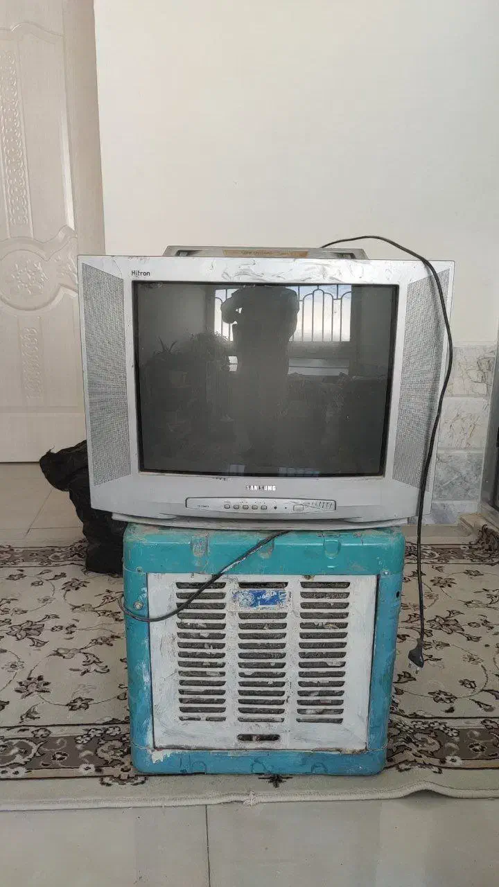 تلویزیون|تلویزیون و پروژکتور|تربتحیدریه, قائم|دیوار