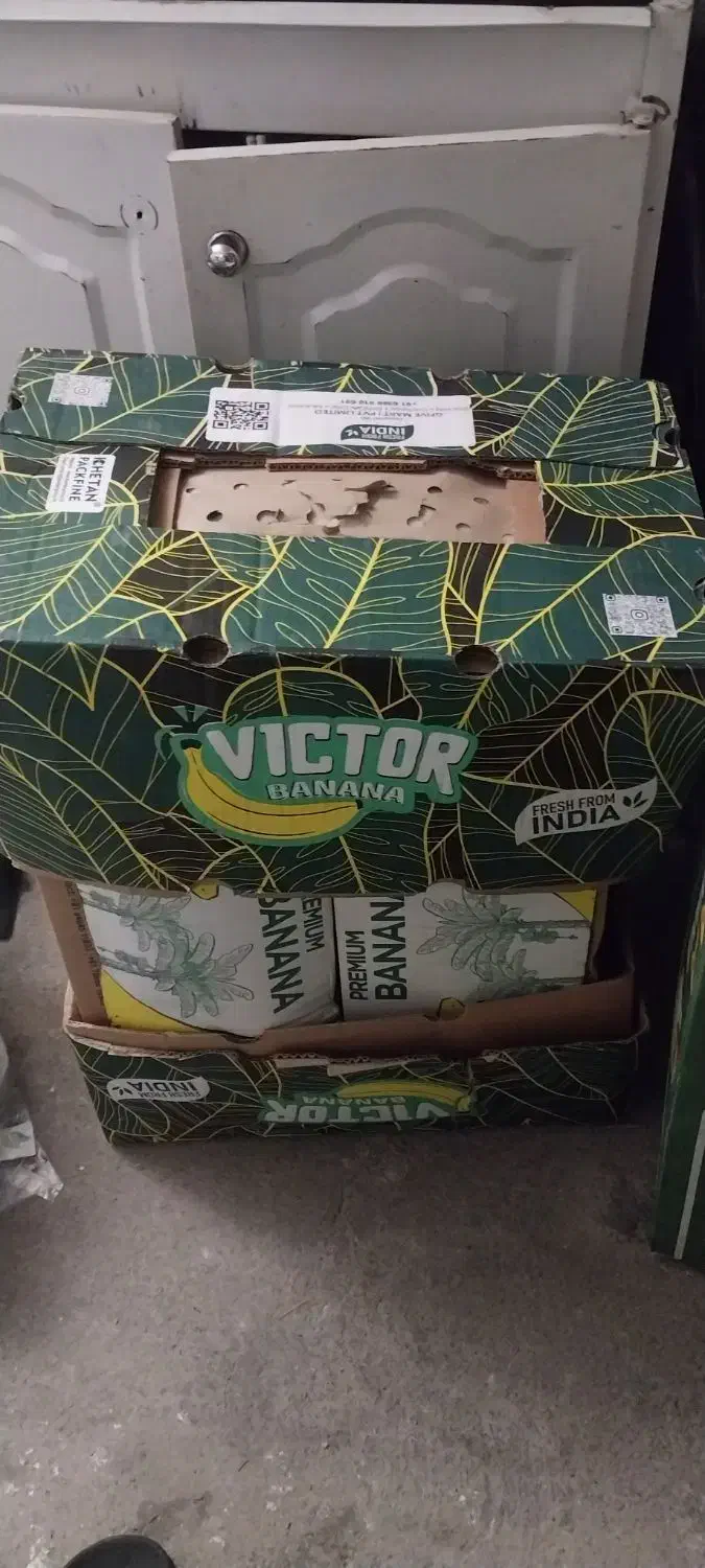 فروش کارتن موز|حراج|دورود, |دیوار