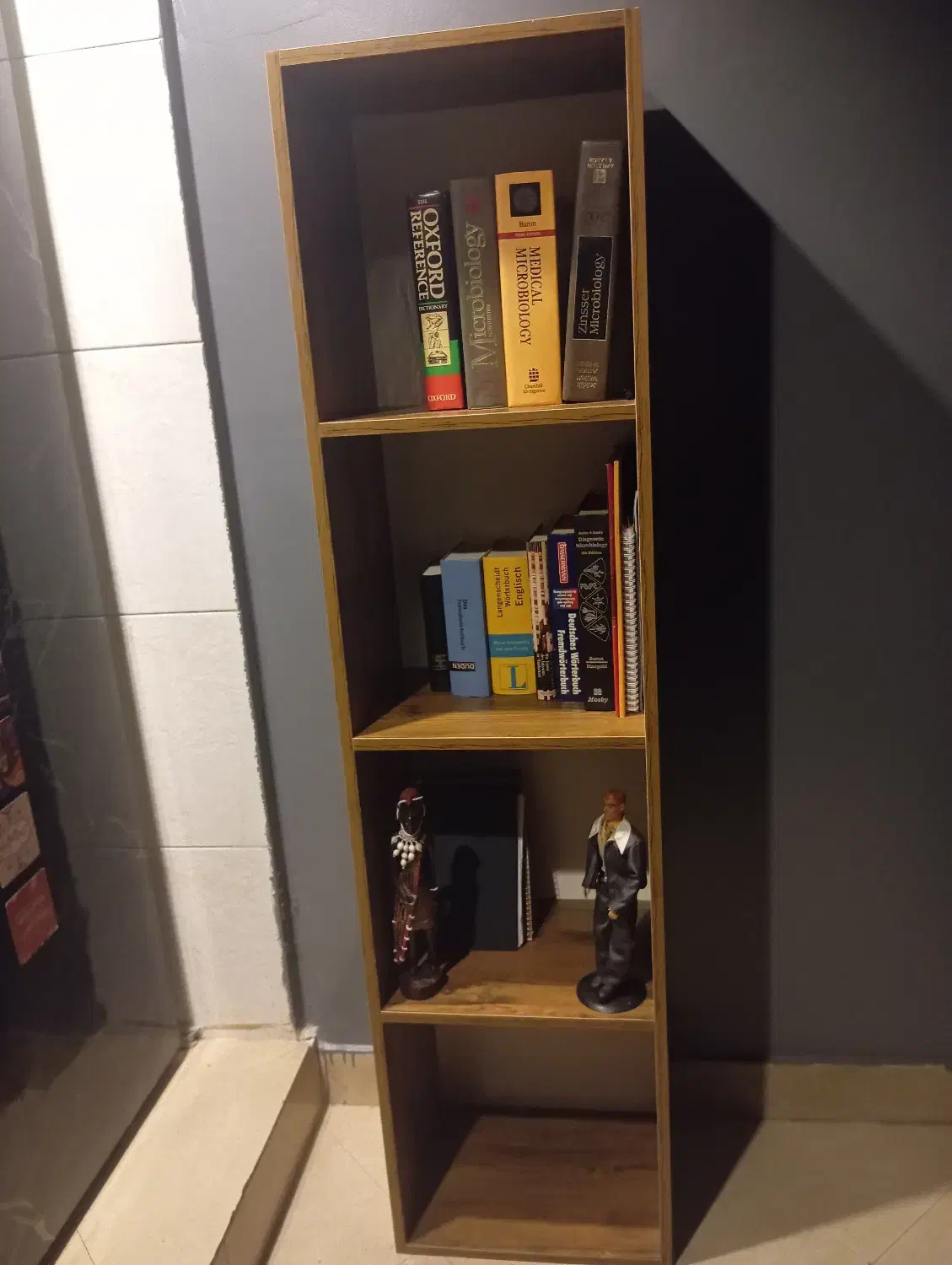 کتابخانه ایستاده به همراه کتاب|کتابخانه، شلف، قفسه‌های دیواری|تهران, دکتر هوشیار|دیوار