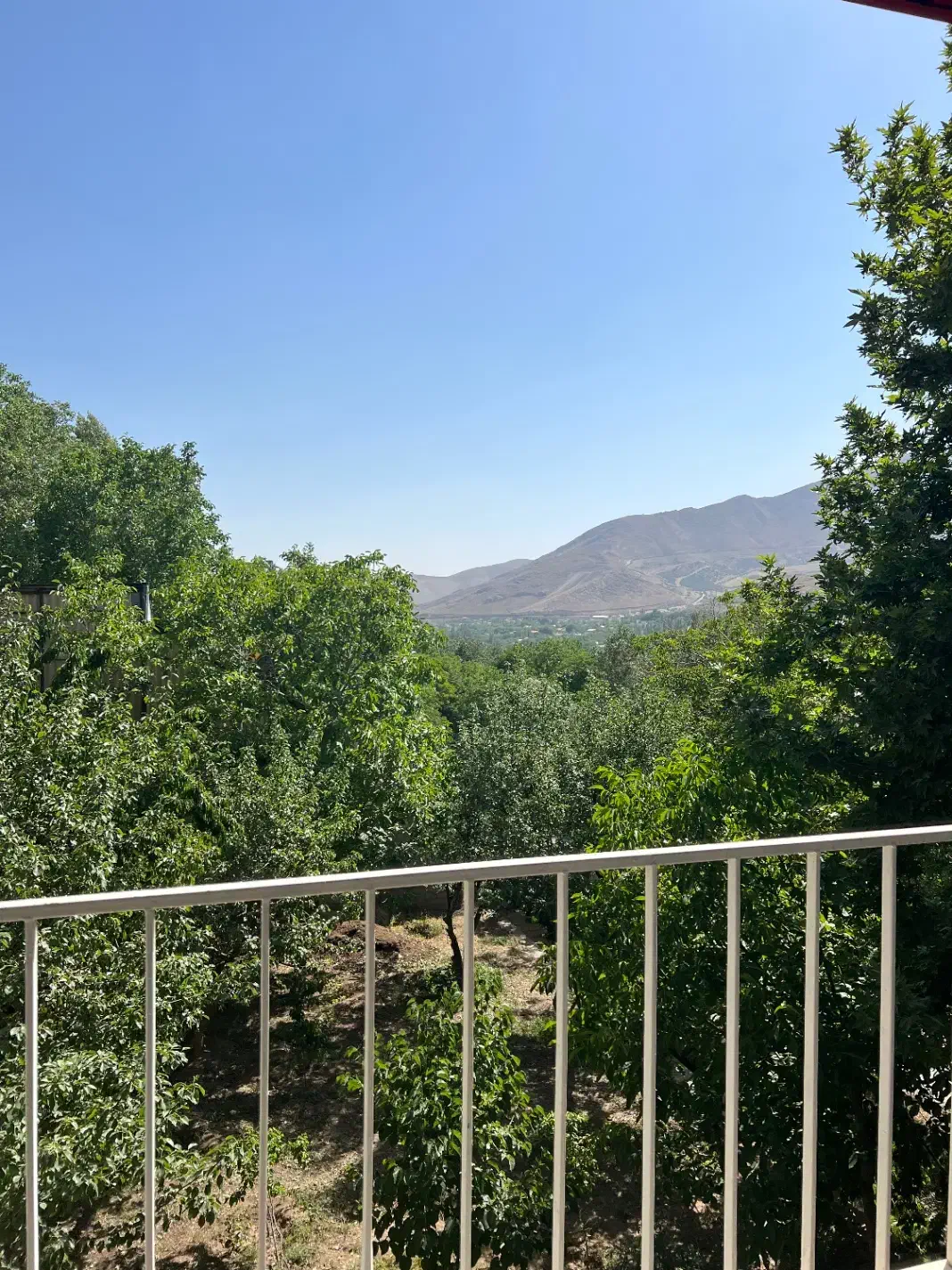 فروش باغ ۱۰۰۰ متری دشتمزار|فروش زمین و ملک کلنگی|دماوند, دماوند|دیوار