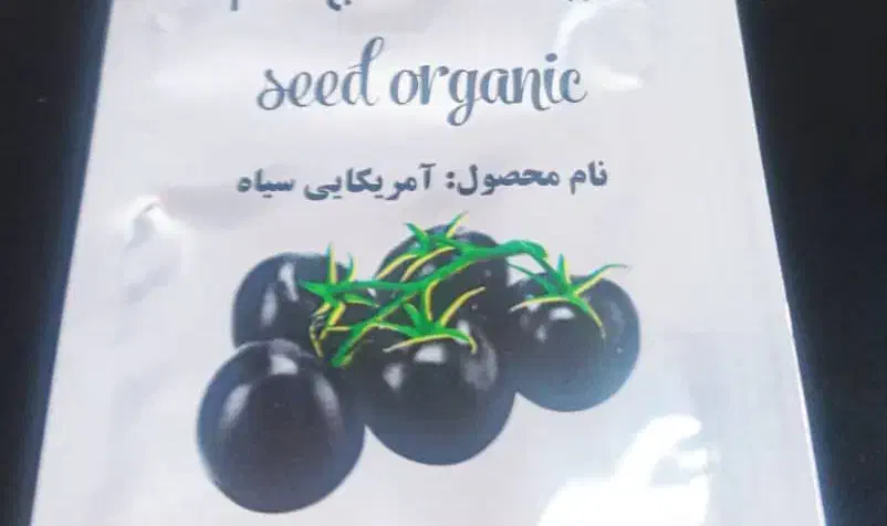 معجزه ای در کاشت گوجه|عمده‌فروشی|شیراز, کوی زهرا|دیوار