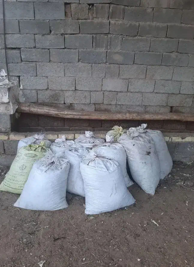 کود بلدرچین|خدمات باغبانی و درختکاری|چیتاب, |دیوار