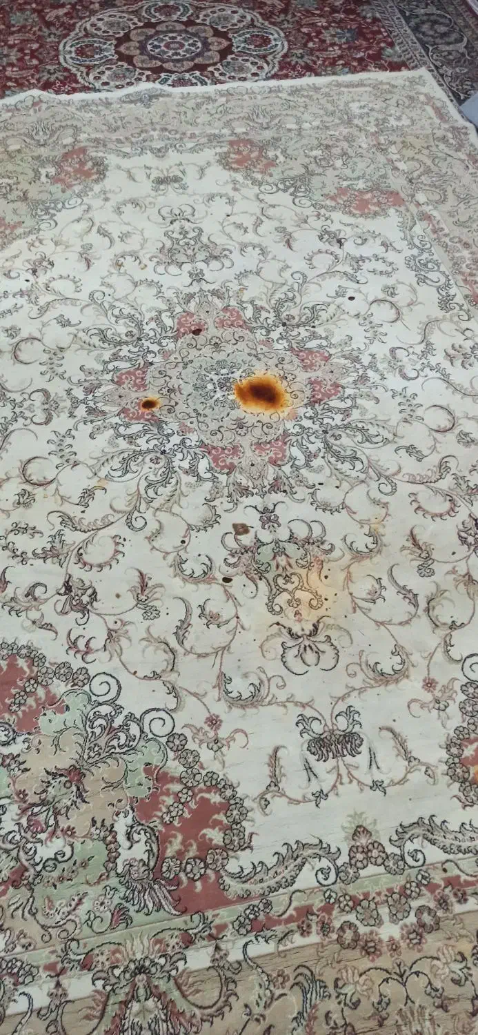 فرش برای خانه باغ|فرش|هشتگرد, سیف آباد|دیوار