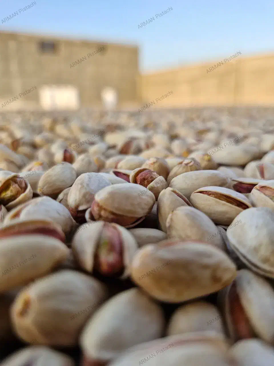 پسته درجه یک فیض اباد خراسان درحد صادراتی|خوردنی و آشامیدنی|اصفهان, جلفا|دیوار