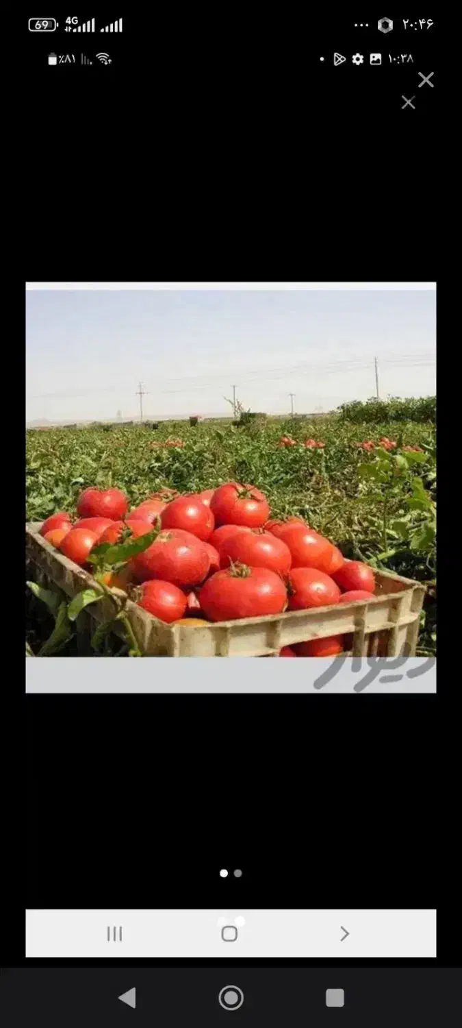 سر کارگر کشاورزی|خدمات باغبانی و درختکاری|اسلام‌‌آباد غرب, |دیوار