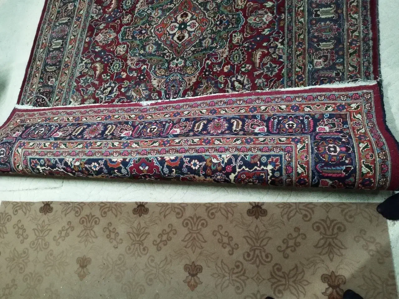 دو فرش دستبافت ۶ متری مشابه|فرش|لاهیجان, خمیر کلایه|دیوار