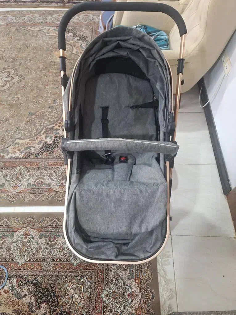 کالسکه|کالسکه و لوازم جانبی|بندرعباس, |دیوار