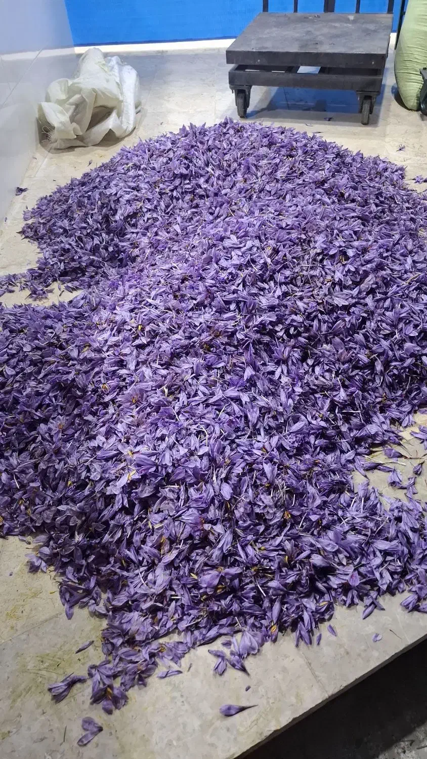 پایگاه گل زعفران|خوردنی و آشامیدنی|سرایان, |دیوار