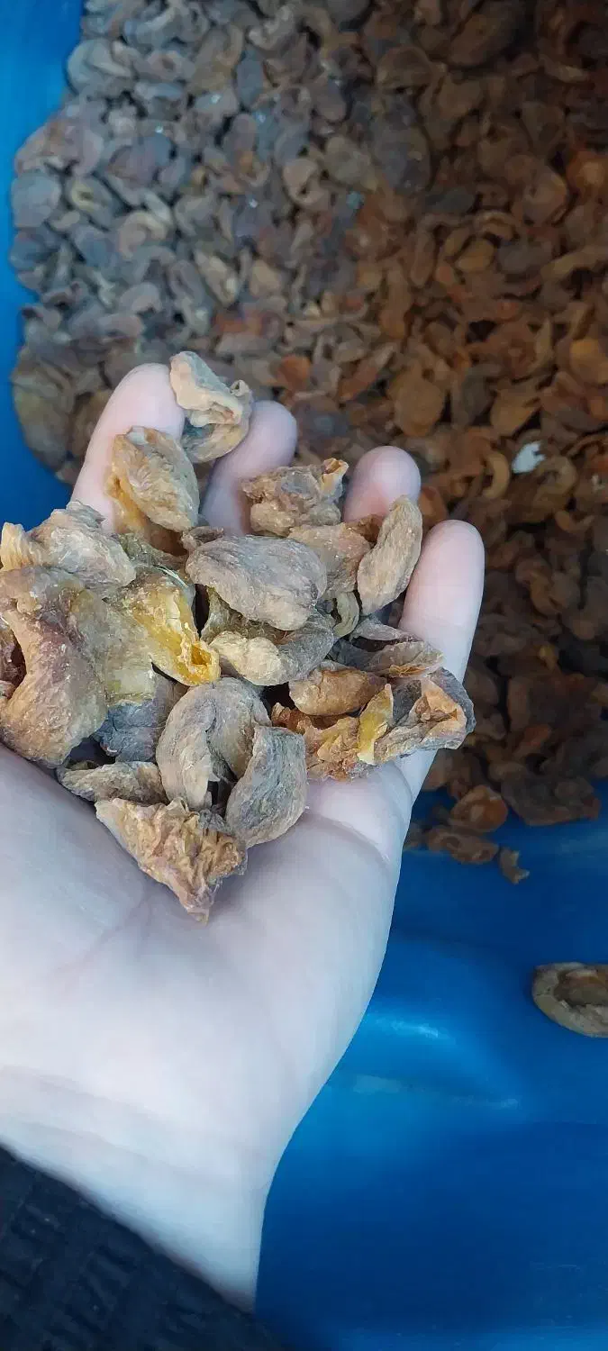 برگه زردآلو|خوردنی و آشامیدنی|نهاوند, |دیوار