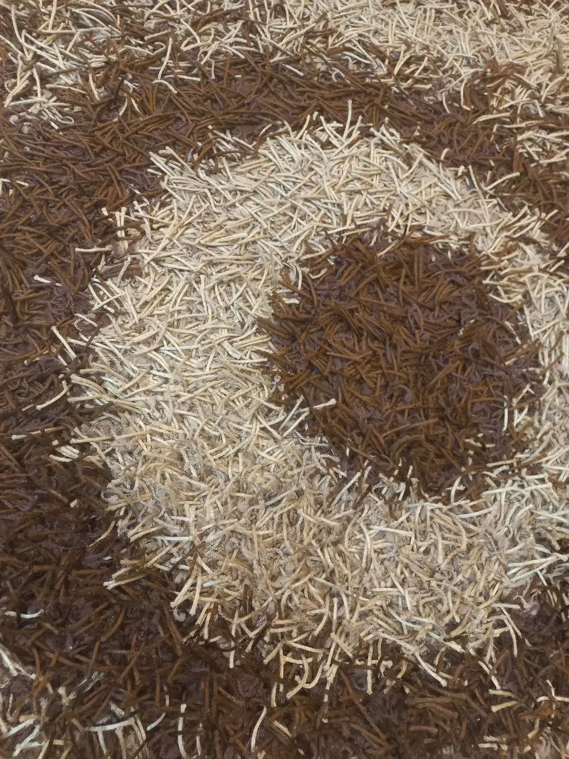 فرش|فرش|کرج, فاز ۳ گوهردشت|دیوار