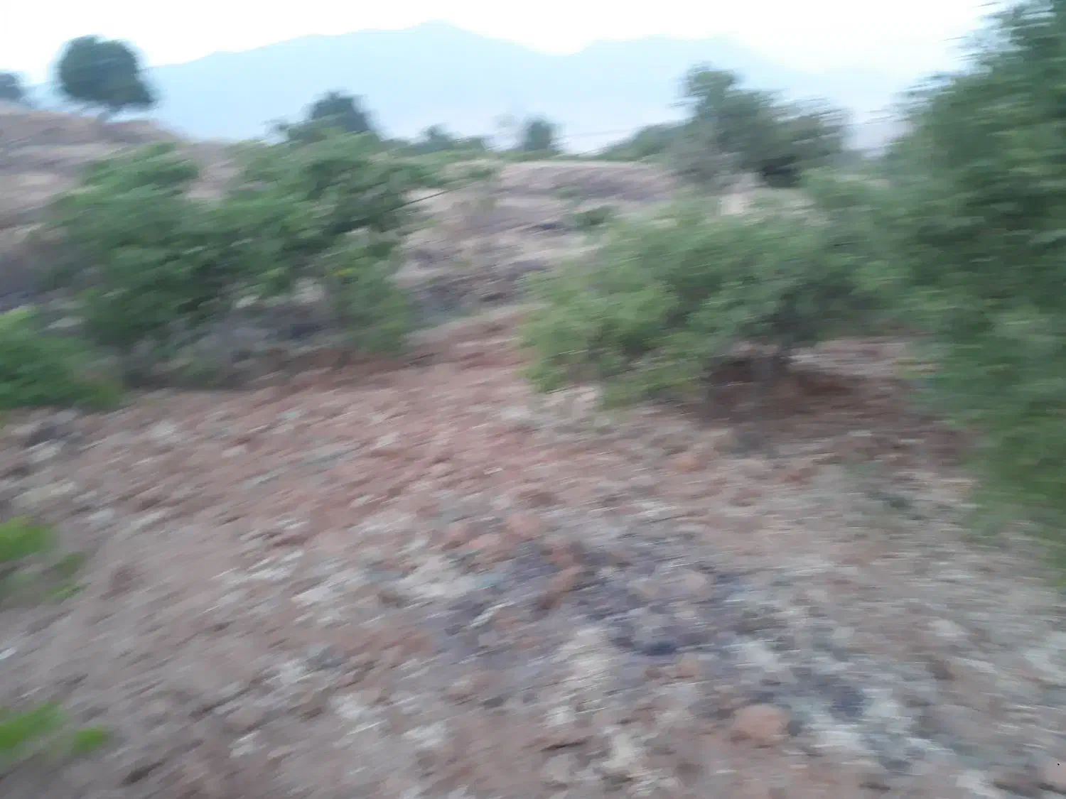 زمین کشاورزی|فروش دفتر صنعتی، کشاورزی، تجاری|شازند, |دیوار