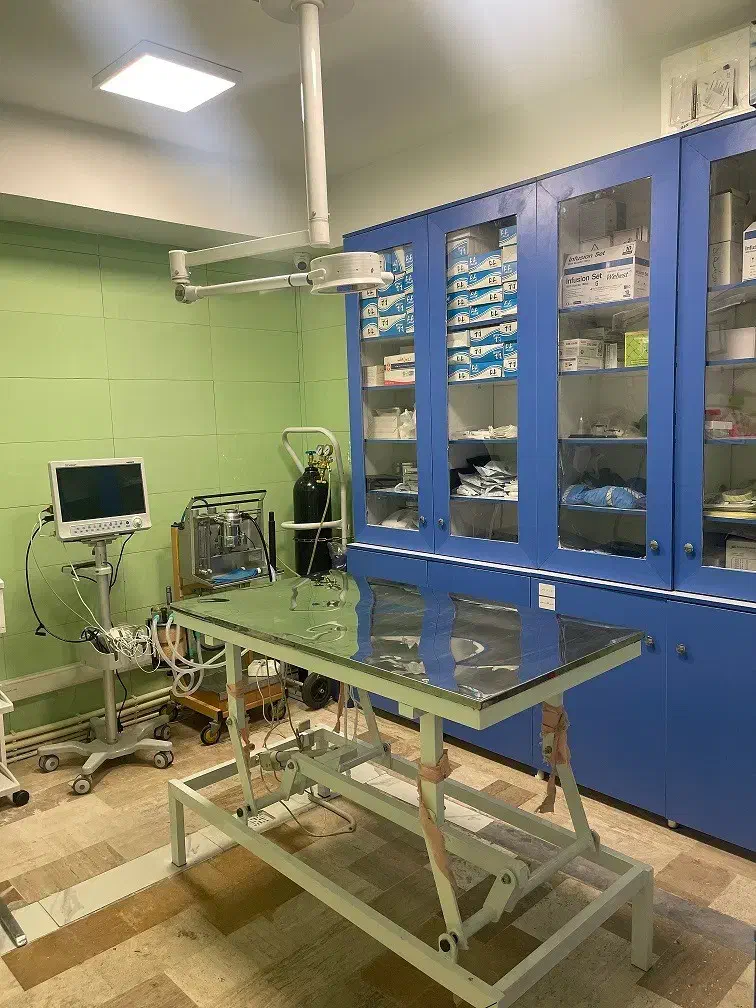 دامپزشکی حامی هلث|خدمات آرایشگری و زیبایی|تهران, سردارجنگل|دیوار